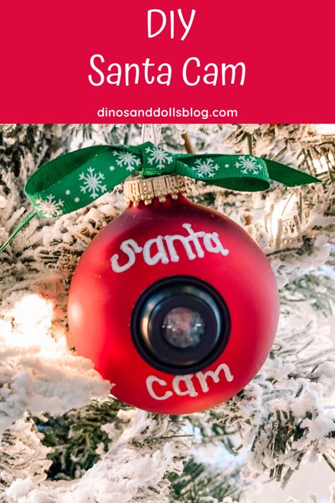 Diy Santa Cam, Celtic Signs, Santa Cam Ornament, Santa Cam, Diy Santa, Round Ornaments, Paint Pens, All You Need Is, Elf On The Shelf