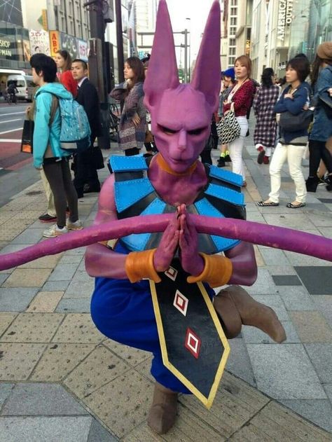 Dbz super god of destruction Mystique Costume, Dbz Cosplay, Lord Beerus, Best Cosplay Ever, Comic Con Cosplay, Epic Cosplay, Cosplay Characters, Amazing Cosplay, Manga Cosplay