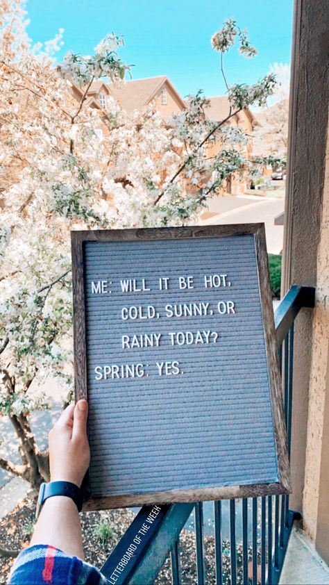 Letter Board Engagement, Spring Letterboard Quotes, Letter Boards Funny, Spring Letterboard, Dog Birthday Quotes, Spring Inspirational Quotes, Spring Letter Board Quotes, Quotes Letter Board, Spring Letter Board