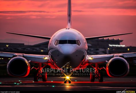 JAL - Express JA350J aircraft at Tokyo - Haneda Int photo Air India Flight, Pilot Quotes, Airplane Pictures, Airplane Photos, Japan Airlines, Aviation Technology, Airplane Wallpaper, Airplane Photography, Boeing Aircraft