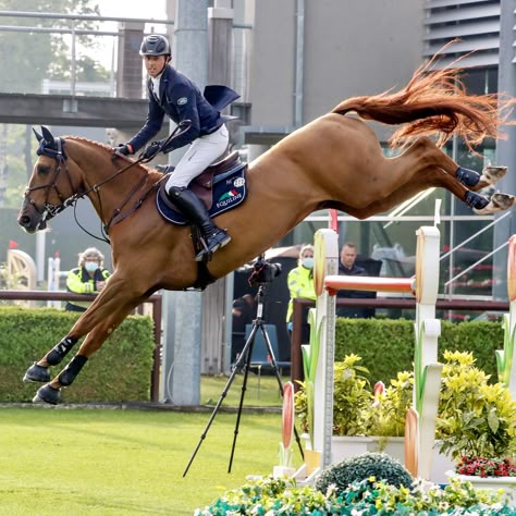 Ben Maher & Explosion W on their way to winning the LGCT Grand Prix of Valkenswaard 2021 Horse Jumping Reference, Grand Prix Horse Show Jumping, Horse Jumping Photography, Grand Prix Show Jumping, Beautiful Stables, Equitation Aesthetic, Horse Jumps, Jumping Horse, Show Jumping Horses