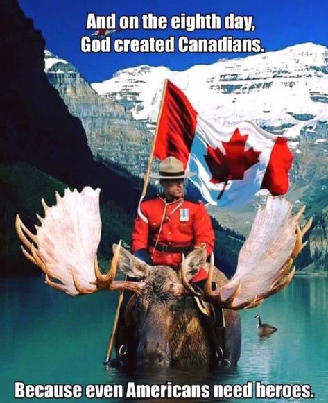 Rcmp Uniform, Canadian Memes, Canada Memes, Canadian Moose, Funny Canada, Canadian People, Canadian Humor, Meanwhile In Canada, Canadian Mounted Police