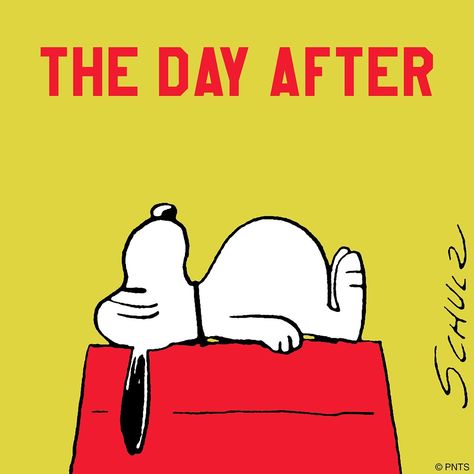 Yep!  Day after Thanksgiving Thanksgiving Snoopy, Day After Thanksgiving, Peanut Gang, Charlie Brown Thanksgiving, Snoopy Comics, Peanuts Comic Strip, Thanksgiving Images, Snoopy Images, Peanuts Snoopy Woodstock