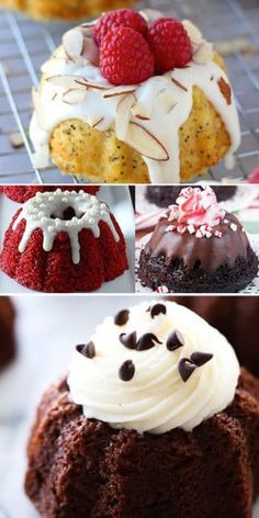 mini bundt cake recipes 1 Mini Cake Recipes, Mini Bundt Cake Recipes, Mini Bunt Cake, Mini Bundt Cakes Recipes, Bundt Pan Recipes, Bundt Cake Recipes, Cream Cheese Bundt Cake, Bundt Recipes, Mini Bundt