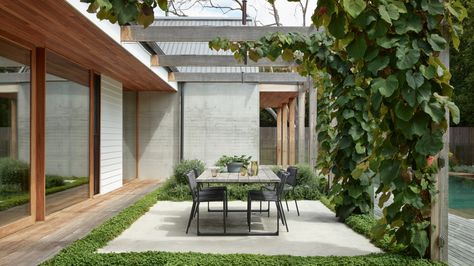 Honeysuckle House, Timber Pergola, School Camp, Passive Solar Design, Glass Pool, Solar Design, Outdoor Entertaining Spaces, The Door Is Open, Outdoor Entertaining Area