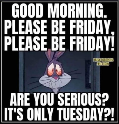 Tuesday Quotes Funny, Tuesday Christmas, Funny Day Quotes, Good Morning Funny Pictures, Tuesday Quotes, Tuesday Humor, Weekday Quotes, Funny Good Morning Quotes, Morning Quotes Funny