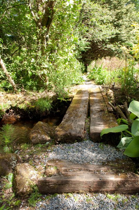 Log Bridge Over Creek, Bridge Over Stream, Plank Bridge, Shade Garden Design, Small Bridge, Wooden Bridge, Forest Garden, Fellowship Of The Ring, Fish Ponds