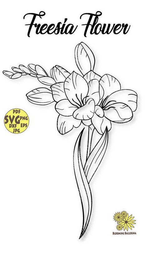 Freesia Embroidery, Freesia Drawing, Freesia Tattoo, Freesia Bouquet, Ballerina Artwork, Freesia Flower, Flower Coloring Sheets, Arty Ideas, Freesia Flowers