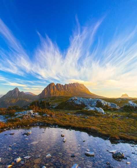 Cradle Mountain, Tasmania - The stunning natural landscape of Cradle Mountain in Tasmania, Australia. #CradleMountain #Tasmania Cradle Mountain Tasmania, Cradle Mountain, Urban Fantasy Books, Tasmania Australia, Royal Caribbean, Natural Landscape, Hidden Gem, Camping Car, Oh The Places Youll Go