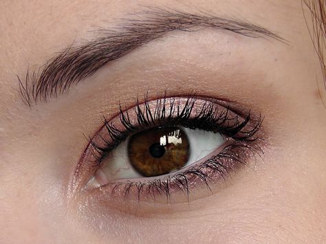 Brown Eyeshadow Tutorial, Brown Eye Makeup Tutorial, Brown Eyes Pop, Cute Eyeshadow Looks, Brown Eye, Makeup Tutorial Video, Brown Eyed Girls, Brown Eyeshadow, Eye Mascara