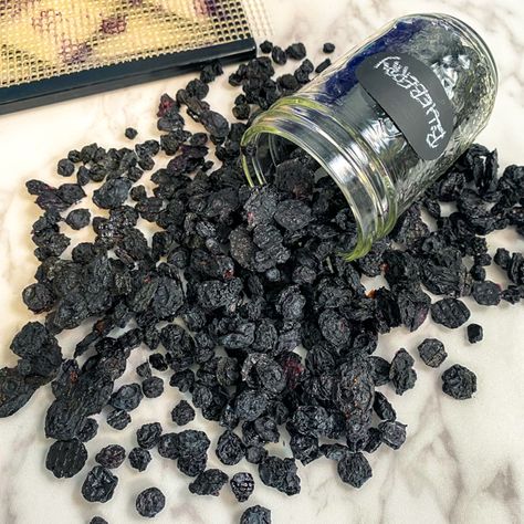 Dehydrate Blueberries, Dehydrating Blueberries, Dried Apple Rings, Homemade Instant Oatmeal, Sambucus Nigra, Fruit Leather, Frozen Berries, Dehydrated Fruit, Blueberry Fruit