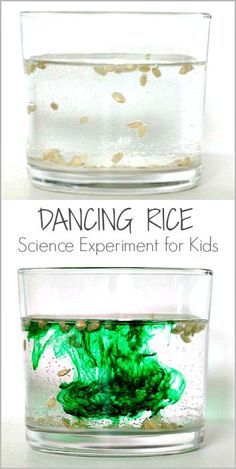 Pre Schooler Science Experiments, Kitchen Chemistry For Kids, Rice Activities For Preschoolers, Dancing Rice, Baking Soda Experiments, Vetenskapliga Experiment, Kitchen Chemistry, Science Experience, Making Rice