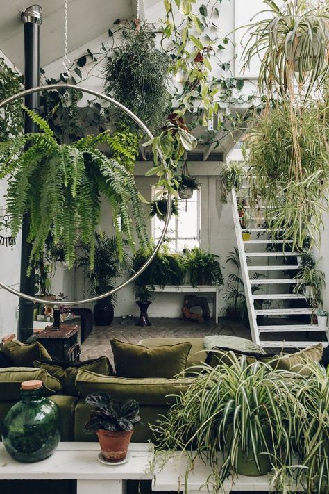 Plants everywhere inside Clapton Tram - a light warehouse space. Garden Concept, تحت الدرج, Jungle Decorations, Lots Of Plants, Backyard Gardens, Jungle House, Gardens Ideas, نباتات منزلية, Gardening Design