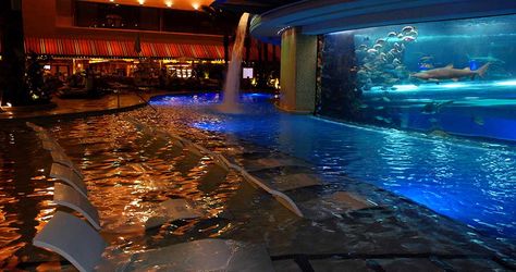 Golden Nugget: POOL PRICES FOR NON-HOTEL GUESTS  $25 Monday Thru Thursday  $35 Friday Thru Sunday  $50 Holiday Weekends  Kids under 3 are free Best Pools In Vegas, Golden Nugget Las Vegas, Fremont Street Las Vegas, Best Pools, Moon Hotel, Vibe Board, Vegas Pools, Vegas Pool Party, Pool Prices