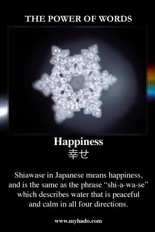 Ƹ̵̡Ӝ̵̨̄Ʒツ♥ღ Emoto Water Crystals, Masaru Emoto Water, Hidden Messages In Water, Water Crystals, St Germaine, Magical Water, Masaru Emoto, Sacred Water, Snowflake Photos