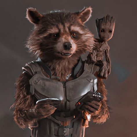 Rocket Groot, Rocket Marvel, Rocket Guardians Of The Galaxy, Rocket Racoon, Marvel Rocket, Marvel Icons, Groot And Rocket, Gardians Of The Galaxy Rocket, Rocket Guardians Of The Galaxy Pfp