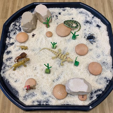 Desert Tuff Tray Ideas, Desert Tuff Tray, Desert Sensory Bin, Tuff Tray Eyfs, Meerkat Mail, Desert Room, Sand Ideas, Dessert Animals, Babies Activities