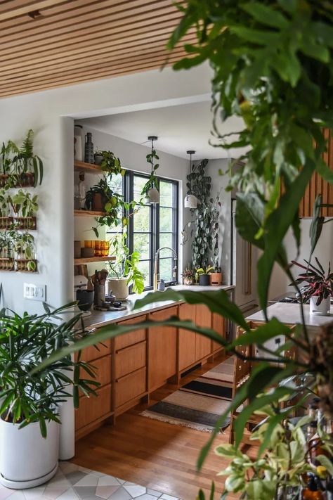 Adding a green touch to your home has become more popular than ever as magazines like Architectural Digest, and feeds on Instagram and Pinterest, highlight the power of plants as an important home styling tool. Indoor Plant Stand Ideas, Vertical Plant Wall, Hilton Carter, Plant Stand Ideas, Humble House, Indoor Plant Stand, Plant Arrangement, Stand Ideas, Floor Plants