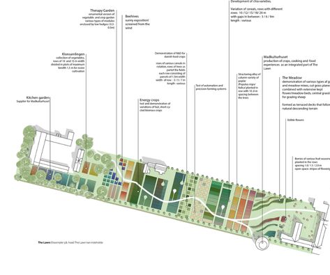 S Urban Farming Architecture, Permaculture Farming, Parking Plan, Architecture Site Plan, Urban Design Diagram, Urban Analysis, Master Thesis, Urban Design Plan, Food Park