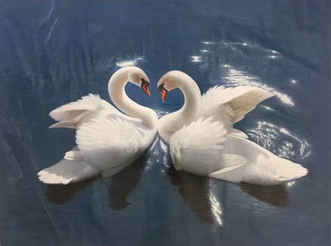 European Wall Decor, Swan Desktop Wallpaper, Swan Mural, Swan Oil Painting, Swans Painting, Two Swans, Swan Art, Swan Painting, Swans Art