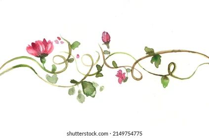 Vines Flowers Watercolor Minimalist Style Purple Stock Illustration 2149754775 | Shutterstock Watercolor Vines Flowers, Painted Vines And Flowers, Vines Flowers, Vine Flowers, Vine Drawing, Vines And Flowers, Climbing Vines, Watercolor Flower Art, Flowers Watercolor