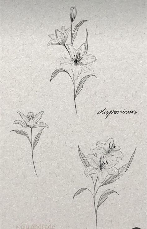 Lillies Flowers Tattoo Design, Tattoo Of A Lily Flower, Tattoo Lilies Flower, Wild Lily Tattoo, Flower Lilly Tattoo, Fineline Lilly Tattoo, Tattoos Of Lilies, Lilies Spine Tattoo, Lily Flower Fine Line Tattoo