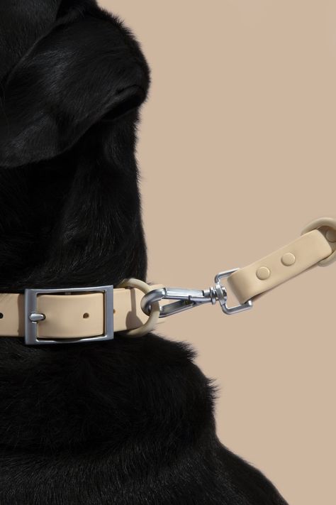 Dog Leash Aesthetic, Dog Product Photoshoot, Dog Harness Photoshoot, Dog Collar Photography, Designer Dog Accessories, Pet Blog, Dog Store, Dog Photoshoot, Dog Branding