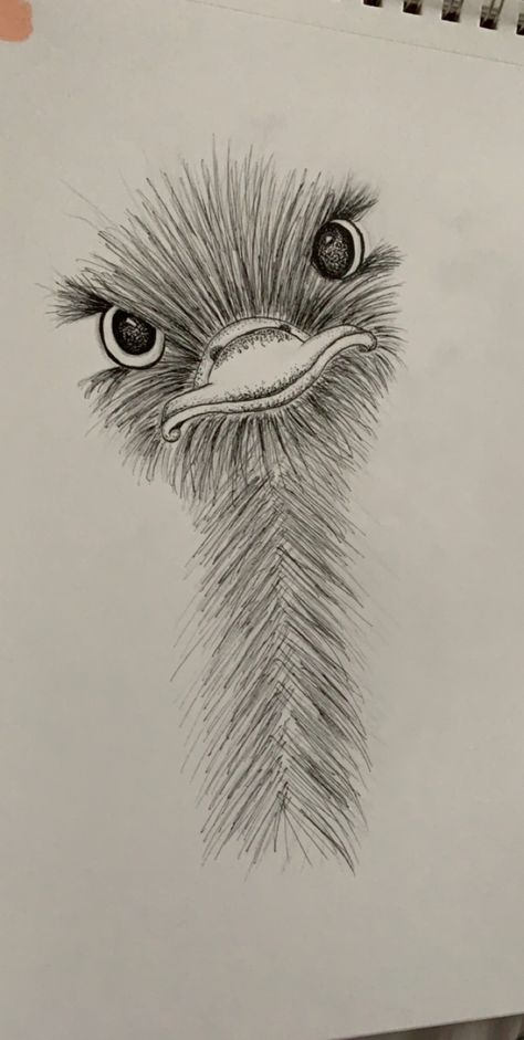 little ostrich friend :) #art #animalart #drawing #sketch Easy Pencil Drawings, Friend Art, Drawing Eyes, Arte Inspo, Pencil Art Drawings, Arte Animal, Book Art Drawings, Art Drawings Sketches Simple, Cool Art Drawings