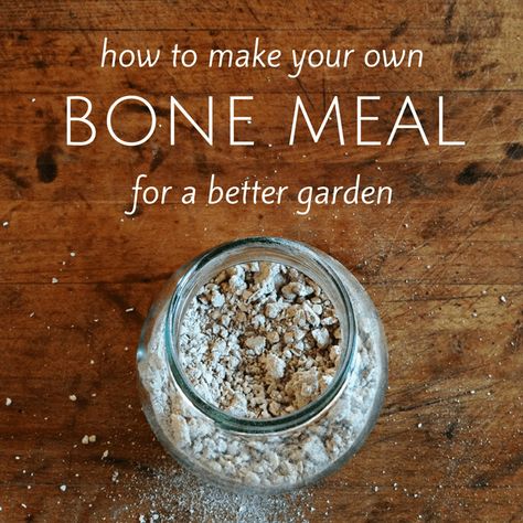 Bone Meal For Plants, Organic Pesticide, Vegetable Garden Tips, Raise Chickens, Organic Vegetable Garden, Garden Compost, Garden Guide, Homestead Survival, Organic Gardening Tips