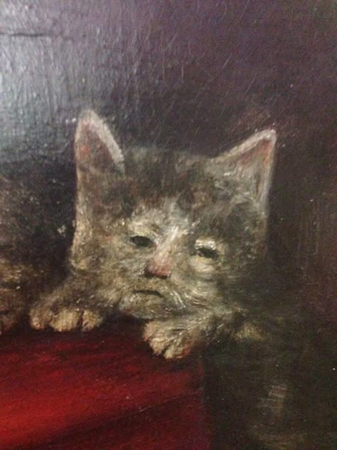 Medieval Cat, Ugly Cat, Medieval Paintings, Cat Poster, Professional Photo, Cat Art, Photographic Print, Portfolio, Paintings