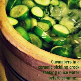 Pickles Cucumbers, Crispy Pickles Recipe, Pickle Crock, Pickling Crock, Sweet Pickles Recipe, Bread N Butter Pickle Recipe, Canning Granny, Funky Food, Lime Pickles