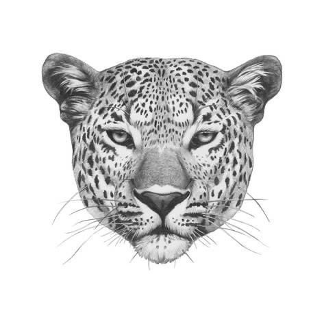 Leopard Drawing, Big Cat Tattoo, Jaguar Tattoo, Leopard Tattoos, Line Art Tattoos, Tattoo Feminina, Head Tattoos, Lion Tattoo, Simplistic Tattoos