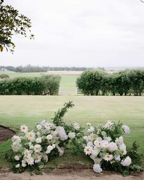 Film And Foliage, Ceremony Nest Flowers, Ground Arrangements Ceremony, Ceremony Flowers On Ground, Ceremony Nest, Flowers Installation, Ceremony Arbor, Photoshoot Background, Airy Wedding