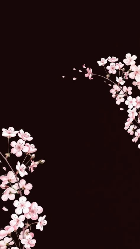 wallpaper Japanese Cherry Blossom Tree Wallpaper, Black Cherry Blossom Wallpaper, Cherry Blossom Iphone Wallpaper, Japanese Cherry Blossom Wallpaper, Black And Pink Background, Cherry Blossom Wallpaper Iphone, Wallpaper Cherry Blossom, Iphone Wallpaper Pink, Dope Wallpaper