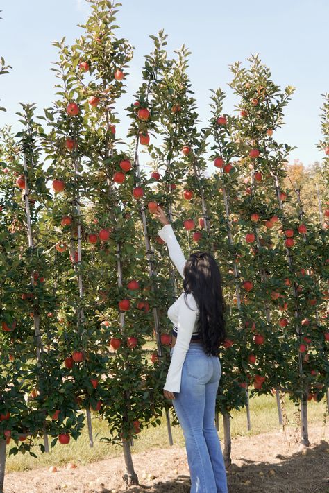 outfit ideas, outfits, outfit ideas fall, outfit inspirations, outfits aesthetic, outfit into fall, outfit ideas women, fall outfits 2023 aesthetic women apple picking ideas, apple picking outfit, apple picking photoshoot, apple picking aesthetic, apple picking outfit fall casual Apple Picking Photoshoot, Apple Picking Aesthetic, Apple Picking Outfit Fall, Apple Picking Fall, Apple Picking Outfit, Pumpkin Patch Photoshoot, Fall Outfits 2023, 2023 Aesthetic, Fall Apples