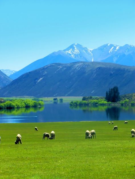 Lake Pearson, South Island, New Zeland Pretty Lake, Green Pastures, Hiccup, South Island, Alam Yang Indah, Canterbury, Summer Heat, Beautiful Scenery, 2 Months