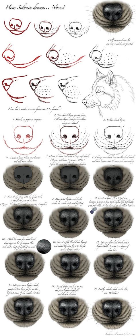 I would have called this a tutorial, only it really isn't all that accurate to real wolf anatomy-- and isn't a complete tutorial. It's just how I tend to draw them. This is kinda old xD But not ter... Nose Tutorial, Drawing Tuts, Drawing Dogs, Eye Sketch, Nose Drawing, 강아지 그림, Wolf Drawing, Sketches Tutorial, 수채화 그림