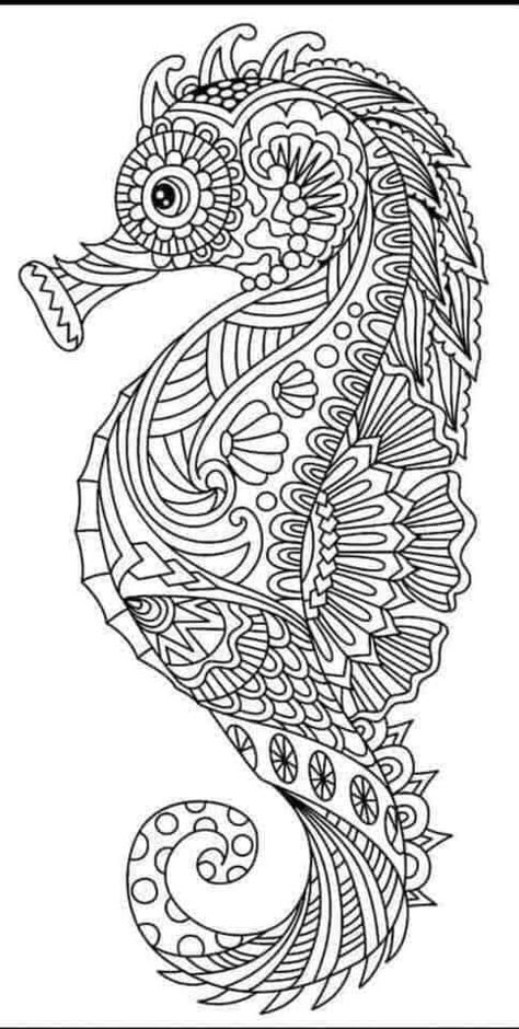 Zentangle Animals, Seahorse Art, Free Adult Coloring Pages, Watercolor Ideas, Patchwork Quilt Patterns, Sea Horse, Mandala Painting, Bird Pictures, 7th Grade