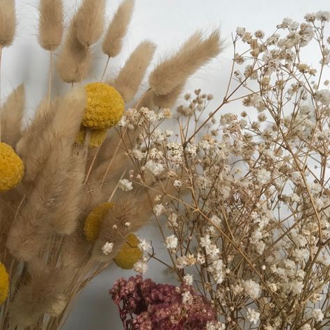 Australian Native Buttonhole, Dried Billy Buttons, Native Dried Flower Bouquet, Western Australian Wildflowers, Cootamundra Wattle, Billy Buttons, Australian Native Flowers, Baby S Breath, Bunny Tail