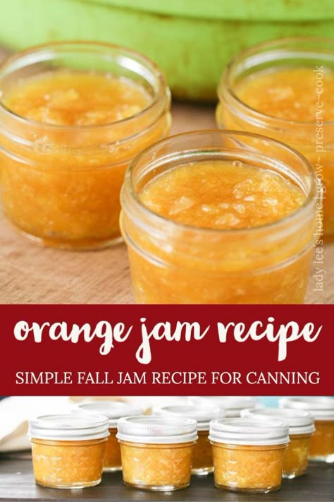 Orange Ginger Jam Recipe, Citrus Jam Recipe, Canning Citrus, Orange Jam Recipe, Jams Recipes, Orange Jam Recipes, Canning Fruit Recipes, Canning Jams, Easy Jam Recipe