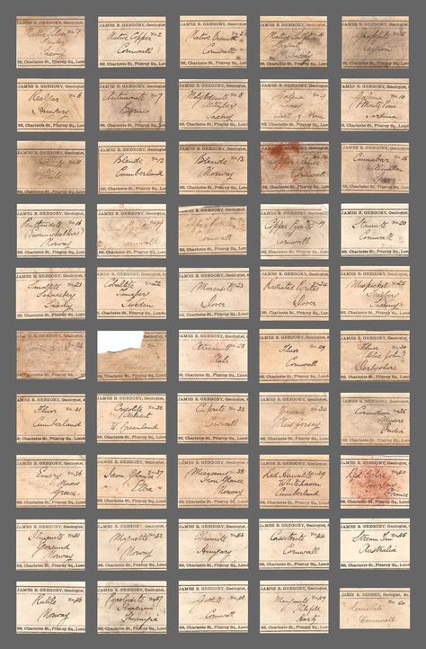 Specimen Labels, Vintage Labels Printables, Peabody Museum, Free Vintage Printables, Miniature Printables, Labels Printables Free, Graphics Fairy, Decoupage Vintage, Vintage Collage