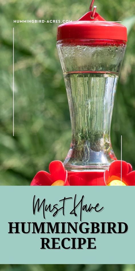 Did you know it's easy to make your own hummingbird food at home? All you need is sugar and water in the right ratio. Learn how to make the perfect hummingbird food today and see those feathered friends flock to your backyard! Click now to get started! Hummingbird Food Recipe Homemade, Diy Hummingbird Food, Hummingbird Food Recipe, Make Hummingbird Food, Homemade Hummingbird Nectar, Homemade Hummingbird Food, Hummingbird Nectar Recipe, Hummingbird Water, Diy Hummingbird Feeder