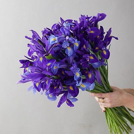 Simple Mother's Day Tips - Darling Darleen | A Lifestyle Design Blog Iris Bouquet, Flower Therapy, Mothers Day Flowers, Iris Flowers, Lifestyle Design, Faux Flowers, My Flower, Pretty Flowers, Fresh Flowers