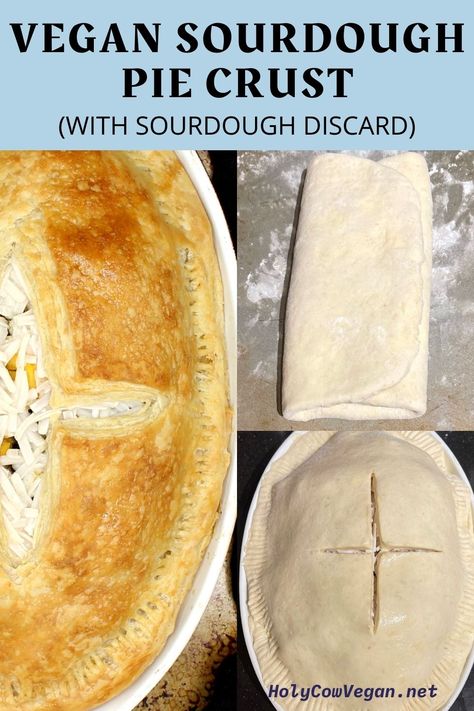 Potpie Crust Recipe, Discard Pie Crust, Pie Crust Vegan, Sourdough Pie Crust, Vegan Pie Crust Recipe, Vegan Entree Recipes, Vegan Pot Pies, Vegan Pie Crust, Pie Crust Recipe