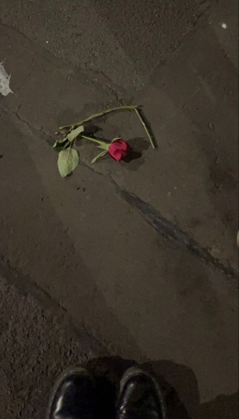 Fake Rose Snap, Rose In Hand Aesthetic, Fack Snap, Rose Snap, Dead Rose, Rose In Hand, Broken Rose, Paranormal Pictures, مرسيدس بنز