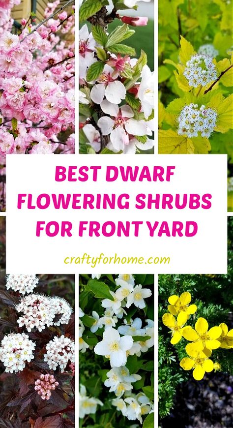 Slow Growing Shrubs Front Yards, Low Bushes For Front Of House, Landscape Design Front Of House Foundation Planting, Short Bushes In Front Of House, Small Flowerbeds Front Of House, Adding Parking To Front Yard, Front Garden Shrubs, Front Yard Window Landscaping Ideas, Zone 5 Front Yard Landscape