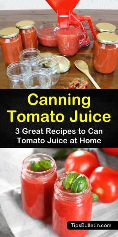 Canning Tomato Juice Easy, How To Make And Can Tomato Juice, Tomato Juice Canning Recipes, Canning Tomatoes Juice, Tomatoe Juice Canned, Canning Tomato Juice Recipes, Homemade Tomato Juice For Canning, Canned Tomato Juice Recipe, Making Tomato Juice