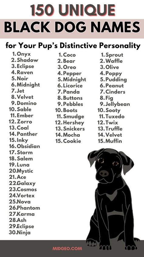 150 unique names for your black pup! 🖤🐾  From cool & edgy to sweet & classic, find the perfect fit.  Think: Midnight, Shadow, Ink, Coal.  Get inspired and name your best friend today!  #blackdognames #dognames #blackdoglove Dog Pet Names, Names For Dogs Unique, Funny Names For Dogs, Names For Black Dogs, Unique Dog Names Boy, Cute Boy Dog Names, Cool Dog Names, Male Dog Names Unique, Rare Dog Names