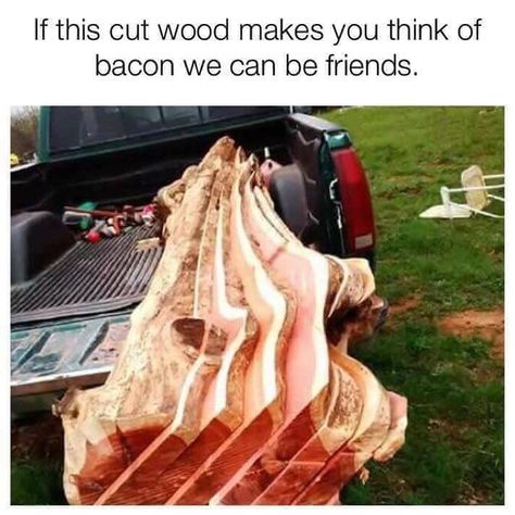 Soooo... is Slaberday still a thing?? Cause this Bacon wood is too pretty not to post!!... Farming Shirts, We Can Be Friends, Clean Memes, Memes Of The Day, Comic Pictures, Morning Humor, Funny Animal Memes, Bones Funny, Best Memes