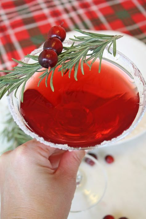 Cranberry Orange Martini with Rosemary Sugar Rims | CatchMyParty.com Cranberry Orange Martini, Cranberry Martini, Martini Recipes Vodka, Christmas Martini, Christmas Drinks Alcohol Recipes, Christmas Drinks Alcohol, Hot Cocoa Recipe, Cocoa Recipes, Cranberry Orange